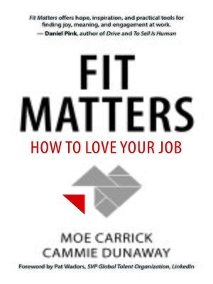 cover image of Fit Matters